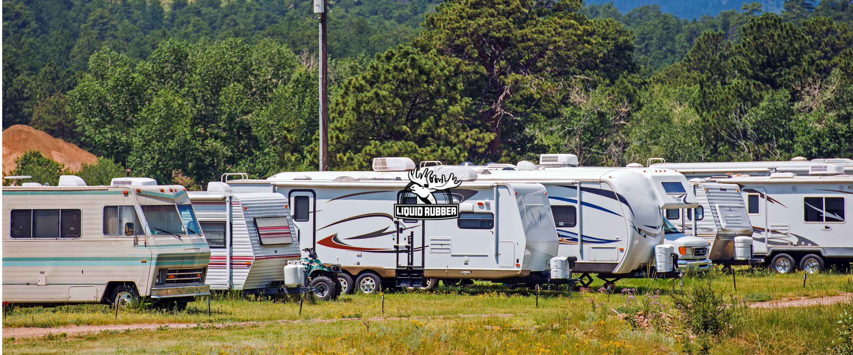 RVs parked in campground