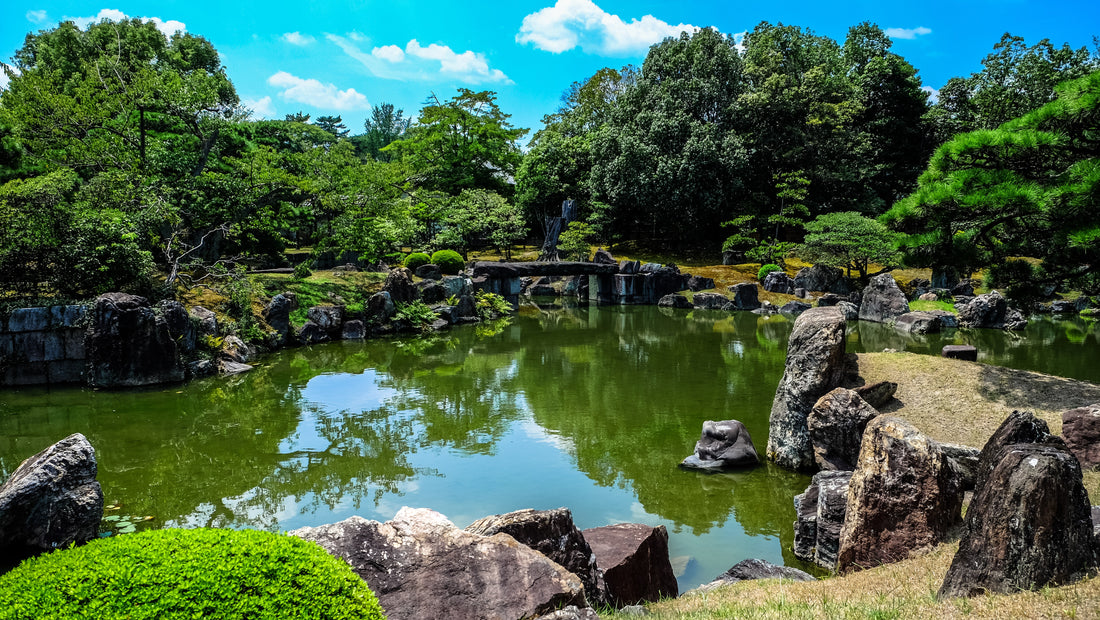 We’ve put together this article to give you some help tips and tricks so you can waterproof a pond using liquid rubber.